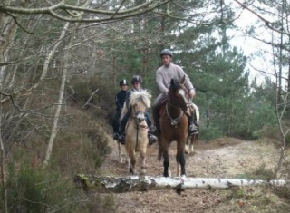  Gita a cavallo al Feneu 